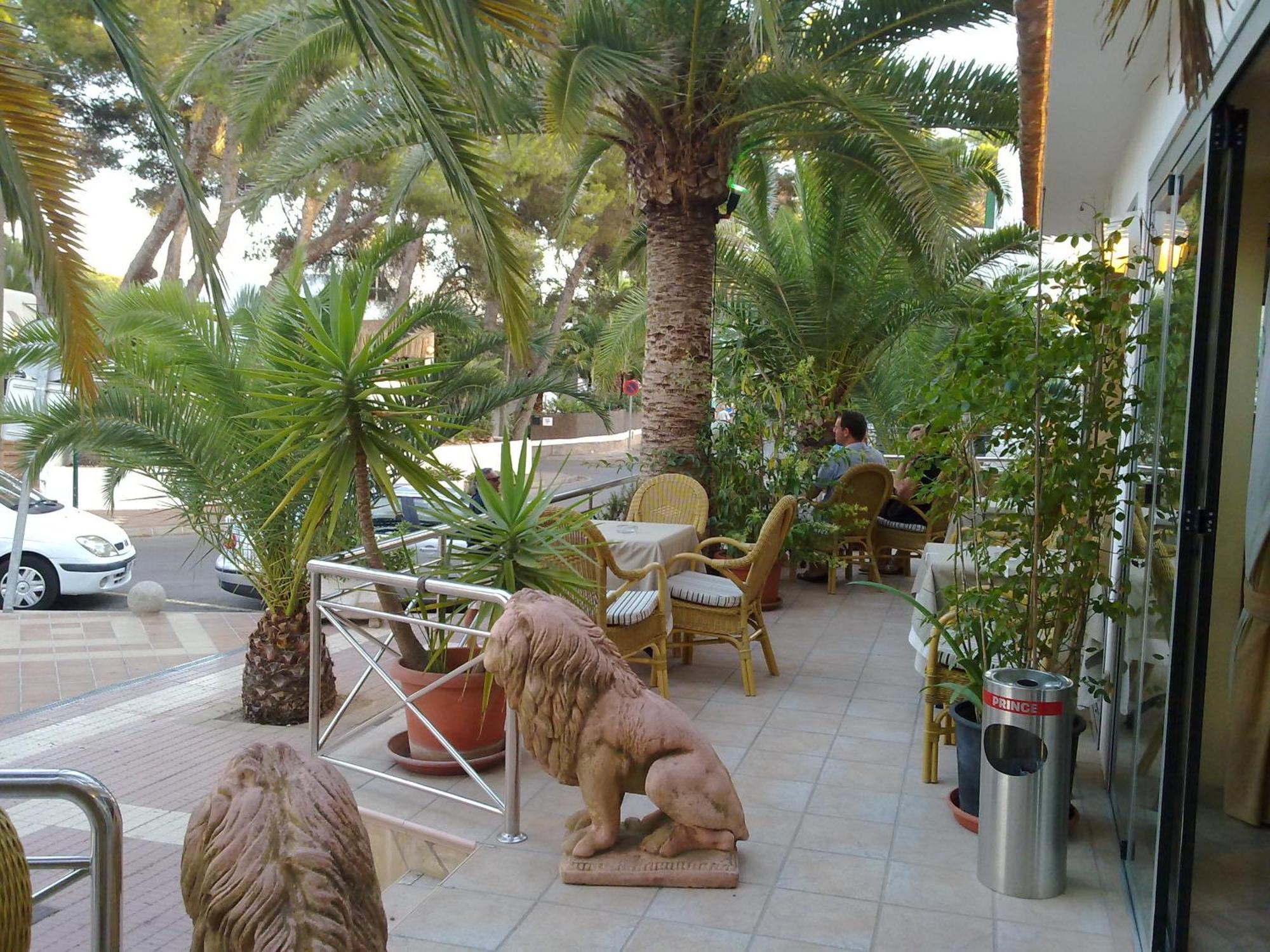 Hostal Leo D'Or
